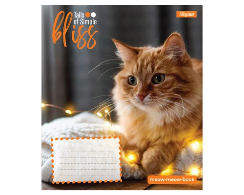 Зошит учнівський шкільний Bliss А5 12 аркушів лінія 1 Вересня (768052)