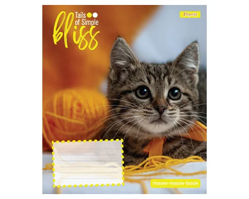 Зошит учнівський шкільний Bliss А5 12 аркушів лінія 1 Вересня (768052)