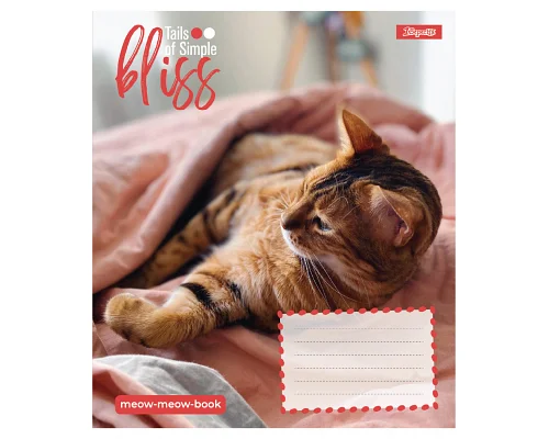 Зошит учнівський шкільний Bliss А5 12 аркушів лінія 1 Вересня (768052)