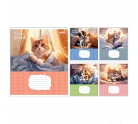 Зошит учнівський шкільний Pets Frinds А5 12 аркушів коса лінія 1 Вересня (768068)