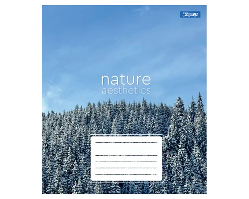Зошит учнівський шкільний Nature aesthetics А5 24 аркушів лінія 1 Вересня (768101)