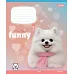Зошит учнівський шкільний Funny Pets А5 12 аркушів лінія 1 Вересня (768209)
