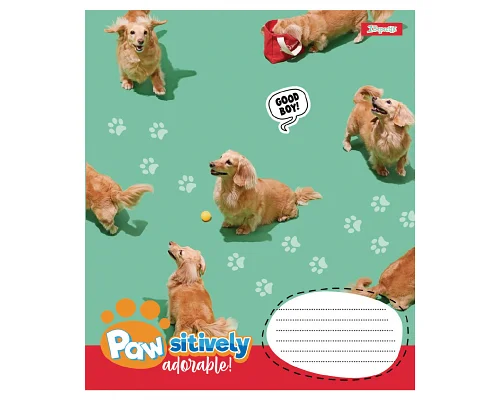 Зошит учнівський шкільний Pawsitively А5 24 аркушів лінія 1 Вересня (768241)