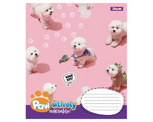 Зошит учнівський шкільний Pawsitively А5 24 аркушів лінія 1 Вересня (768241)