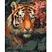 Картина за номерами Хижак в кущах 40х50 см Art Craft (11706-AC)