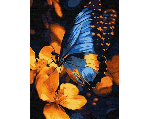 Картина за номерами Мерехтіння крил art_selena_ua 30х40 Ідейка (KHO6731)