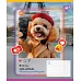 Зошит учнівський шкільний Cute animals А5 24 аркушів лінія YES (767730)
