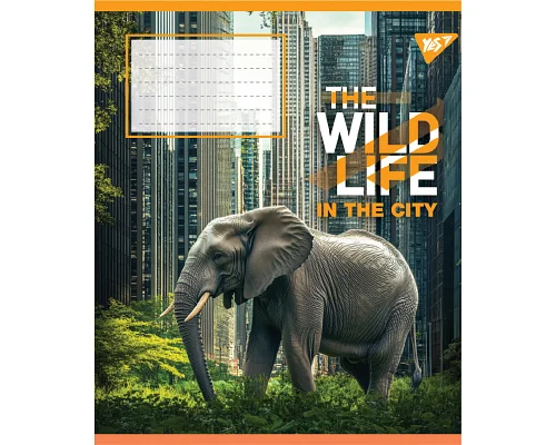 Зошит учнівський шкільний The wild in the city А5 24 аркушів клітинка YES (767764)