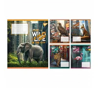Зошит учнівський загальний The wild in the city А5 48 аркушів клітинка YES (767768)