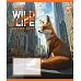 Зошит учнівський загальний The wild in the city А5 60 аркушів клітинка YES (767770)