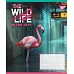 Зошит учнівський загальний The wild in the city А5 60 аркушів клітинка YES (767770)