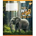 Зошит учнівський загальний The wild in the city А5 60 аркушів лінія YES (767771)
