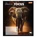 Зошит учнівський загальний Beasts in Focus А5 60 аркушів лінія 1 Вересня (768063)