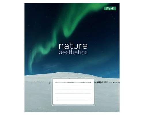Зошит учнівський загальний Nature aesthetics А5 60 аркушів лінія 1 Вересня (768107)