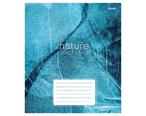 Зошит учнівський загальний Nature aesthetics А5 60 аркушів лінія 1 Вересня (768107)