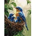 Картина за номерами Весняний дощ art_selena_ua 30х40 Ідейка (KHO6741)