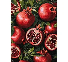 Картина за номерами Гранат у розрізі art_selena_ua 30х40 Ідейка (KHO5731)
