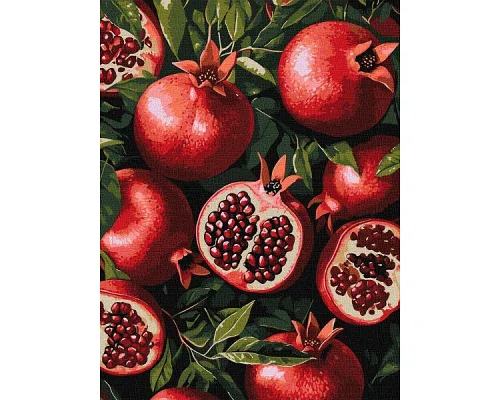 Картина за номерами Гранат у розрізі art_selena_ua 30х40 Ідейка (KHO5731)