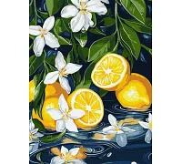 Картина за номерами Лимон у розрізі art_selena_ua 30х40 Ідейка (KHO5733)