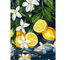 Картина за номерами Лимон у розрізі art_selena_ua 30х40 Ідейка (KHO5733)