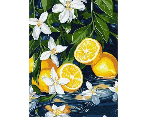 Картина за номерами Лимон у розрізі art_selena_ua 30х40 Ідейка (KHO5733)