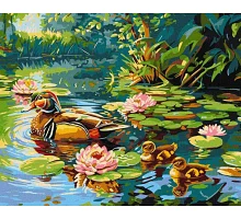 Картина по номерам Утиное семейство art_selena_ua 40х50 Идейка (KHO6656)