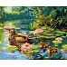 Картина по номерам Утиное семейство art_selena_ua 40х50 Идейка (KHO6656)