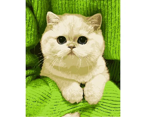 Картини за номерами Киця 40*50 см (PN3744)