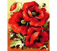 Картини за номерами Яскраві маки 40*50см (PN6509)