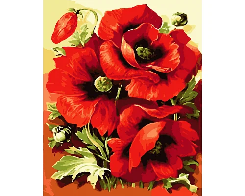 Картини за номерами Яскраві маки 40*50см (PN6509)