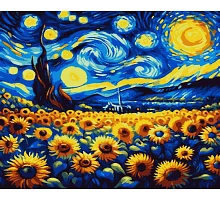 Картини за номерами Українська зоряна ніч 40*50 см (PN7595)