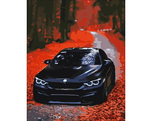 Картини за номерами BMW 40*50 см (PN9652)