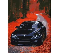 Картина за номерами велика BMW 50*60 см (PNX9652)