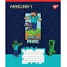 Зошит учнівський шкільний Minecraft Walls А5 18 аркушів лінія YES (767567)