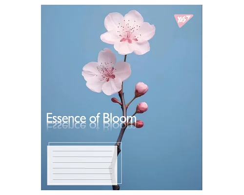Зошит учнівський загальний Essence of Bloom А5 36 аркушів лінія YES (767720)