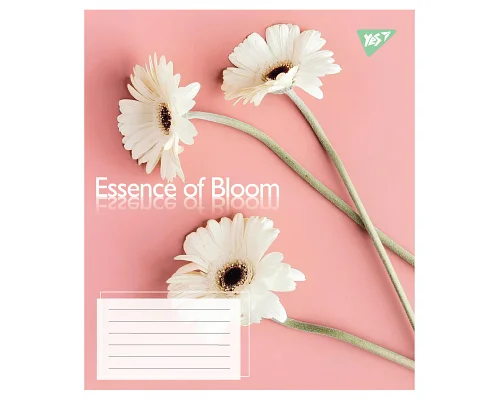 Зошит учнівський загальний Essence of Bloom А5 48 аркушів лінія YES (767722)