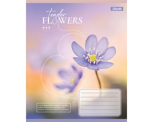Зошит учнівський загальний Tender Flowers А5 48 аркушів лінія 1 Вересня (768081)