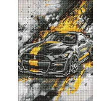 Алмазна мозаїка Спортивний стиль art_selena_ua 30х40 Ідейка (AMO8237)