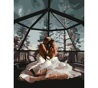 Картина по номерам Пара под ночным небом 18+ 40x50 см Оригами (LW3169)