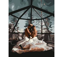 Картина по номерам Пара под ночным небом 18+ 40x50 см Оригами (LW3169)