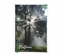 Блокнот YES А4 80 л 7БЦ Nature клетка (152033)