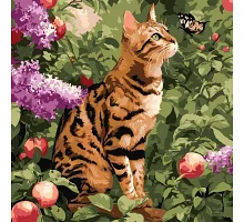 Картина по номерам Бенгальский кот art_selena_ua 40х40 Идейка (KHO6794)