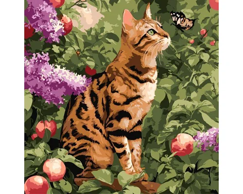 Картина по номерам Бенгальский кот art_selena_ua 40х40 Идейка (KHO6794)