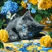Картина по номерам Голубоглазый котенок art_selena_ua 40х40 Идейка (KHO6795)