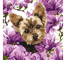 Картина по номерам Йорк в магнолии art_selena_ua 40х40 Идейка (KHO6796)
