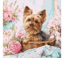 Картина по номерам Йорк в корзине art_selena_ua 40х40 Идейка (KHO6797)