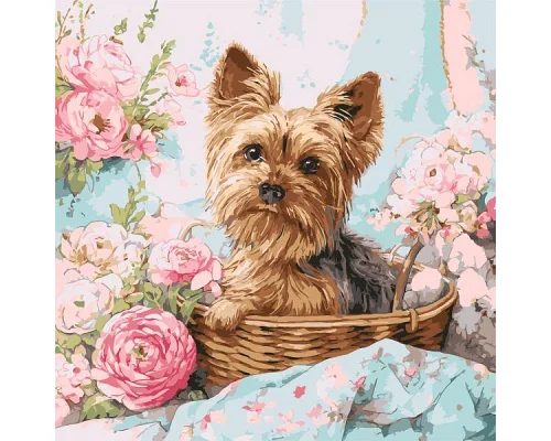 Картина по номерам Йорк в корзине art_selena_ua 40х40 Идейка (KHO6797)