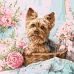 Картина по номерам Йорк в корзине art_selena_ua 40х40 Идейка (KHO6797)