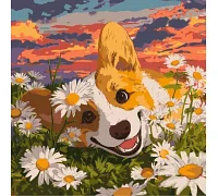 Картина по номерам Корги в ромашках art_selena_ua 40х40 Идейка (KHO6798)