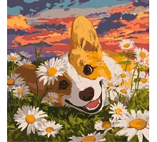 Картина по номерам Корги в ромашках art_selena_ua 40х40 Идейка (KHO6798)